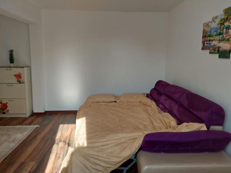 Apartamento Apartament In Sighetu Marmaţiei Exterior foto